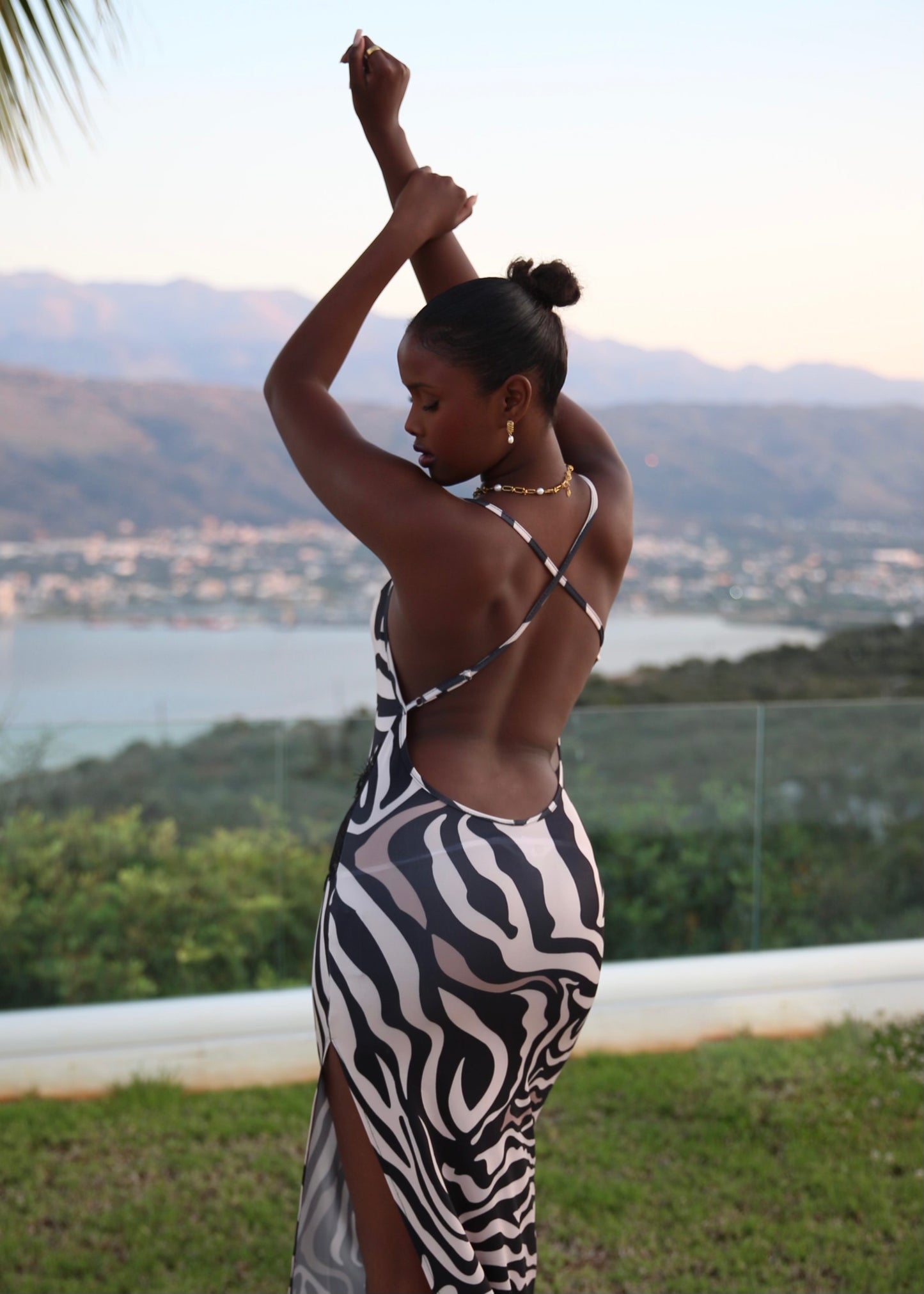 GEE - Zebra Maxi Dress