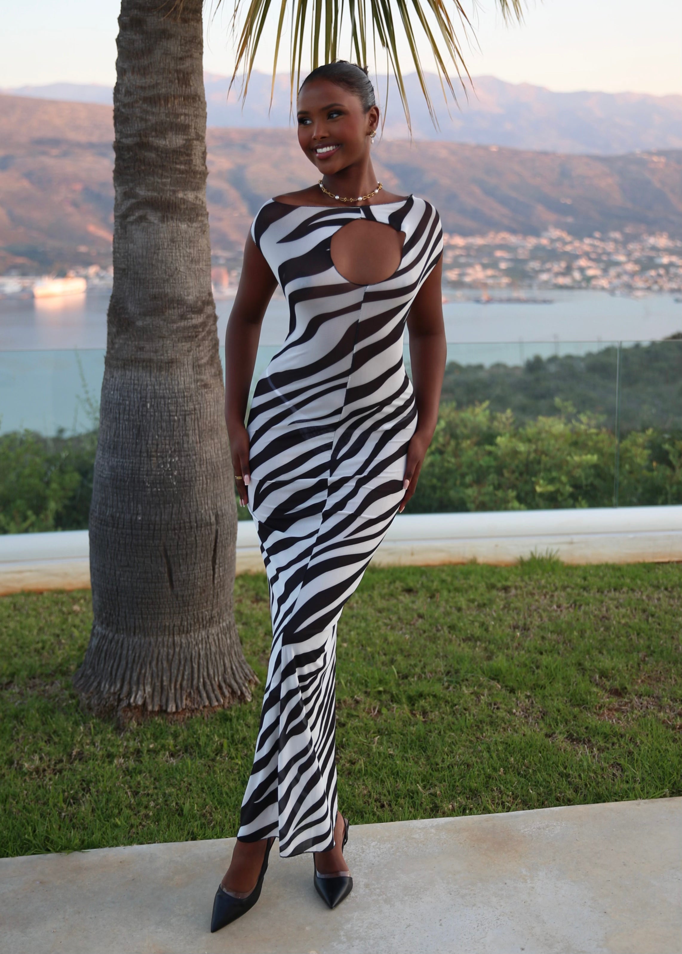 ALBA - Zebra Maxi Dress
