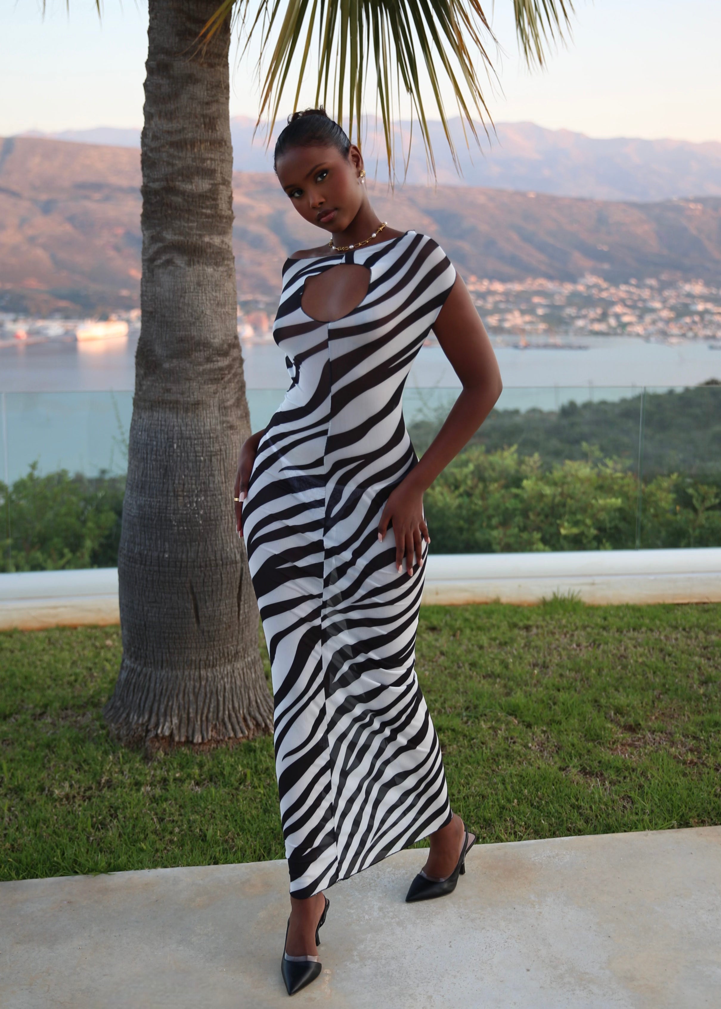 ALBA - Zebra Maxi Dress